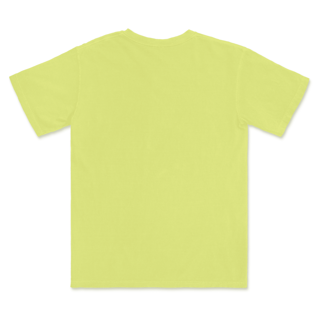 1717 Comfort Colors Adult Heavyweight T-Shirt