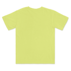 1717 Comfort Colors Adult Heavyweight T-Shirt