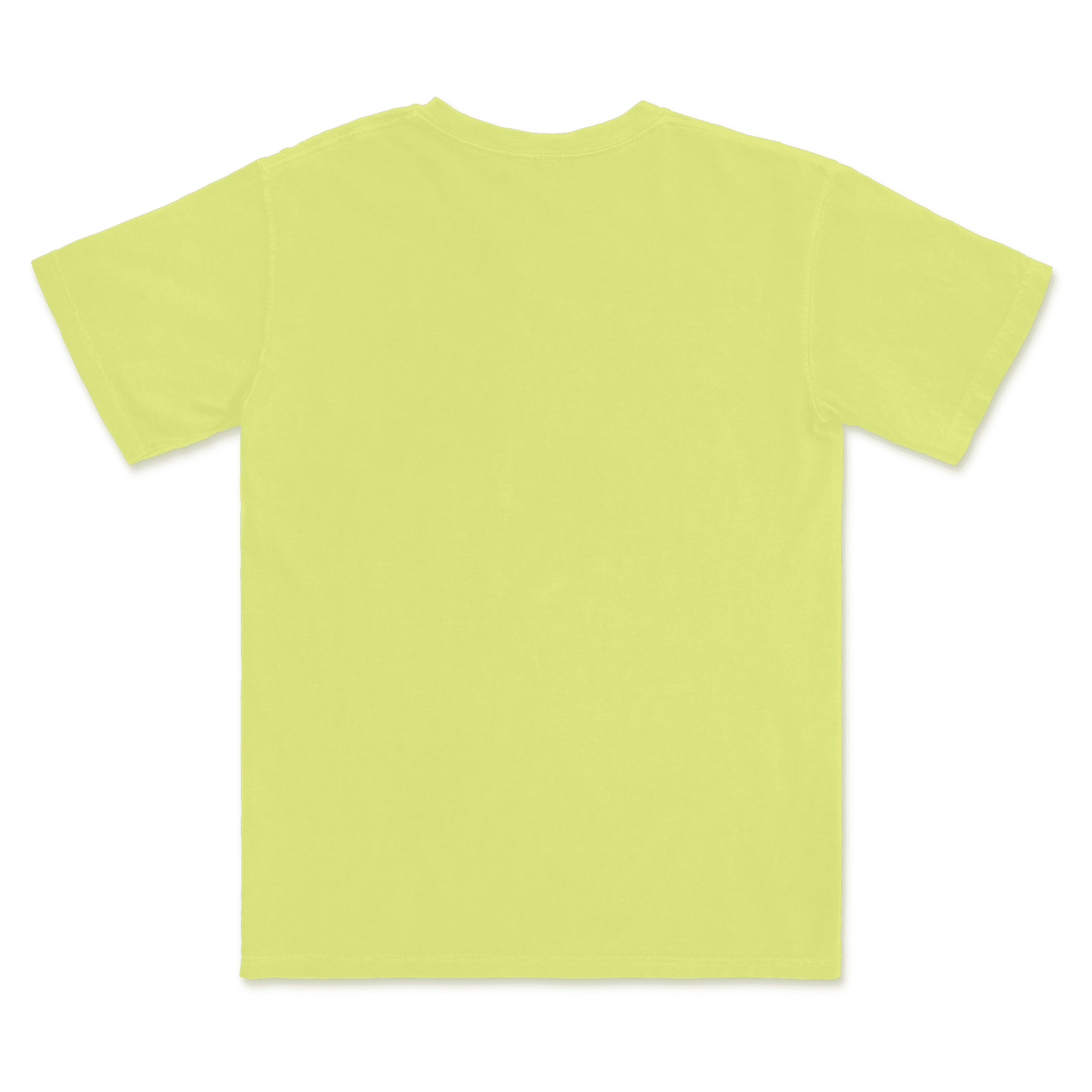 1717 Comfort Colors Adult Heavyweight T-Shirt