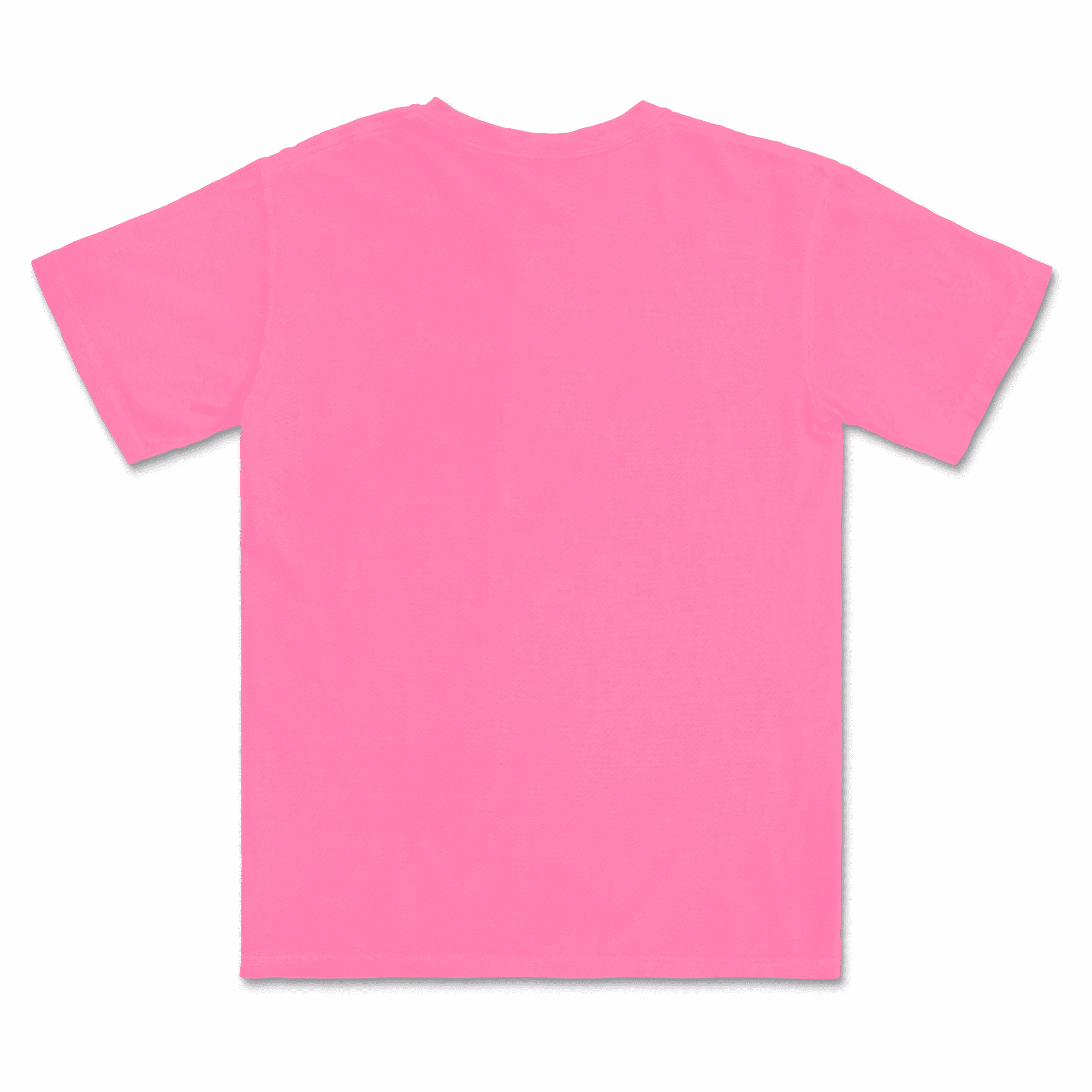1717 Comfort Colors Adult Heavyweight T-Shirt