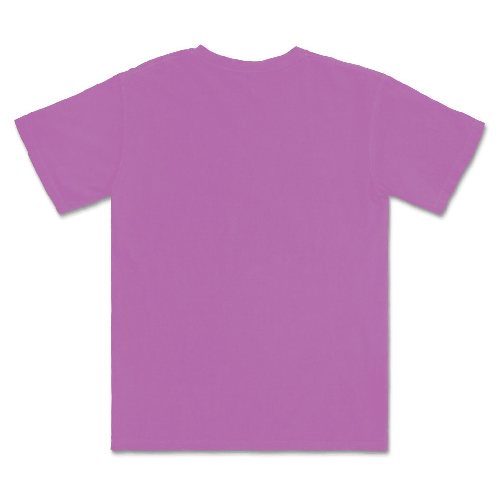 1717 Comfort Colors Adult Heavyweight T-Shirt