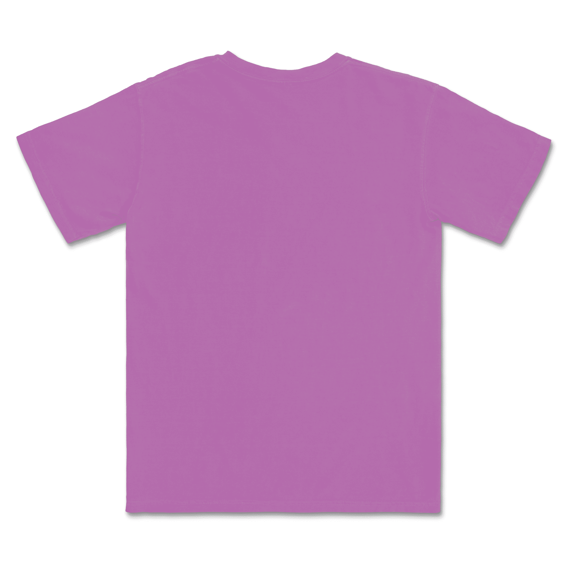 1717 Comfort Colors Adult Heavyweight T-Shirt