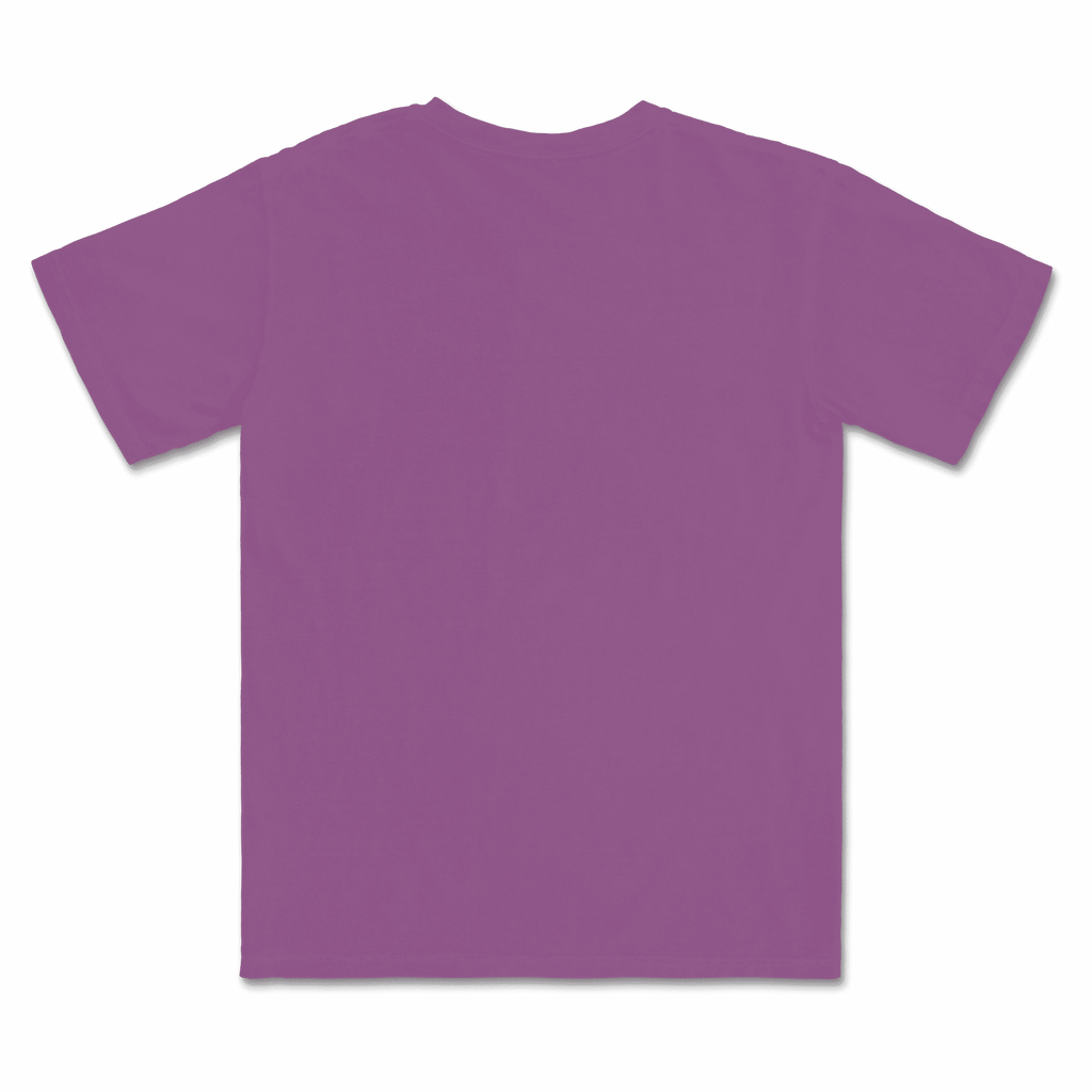 1717 Comfort Colors Adult Heavyweight T-Shirt