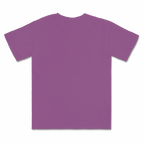 1717 Comfort Colors Adult Heavyweight T-Shirt