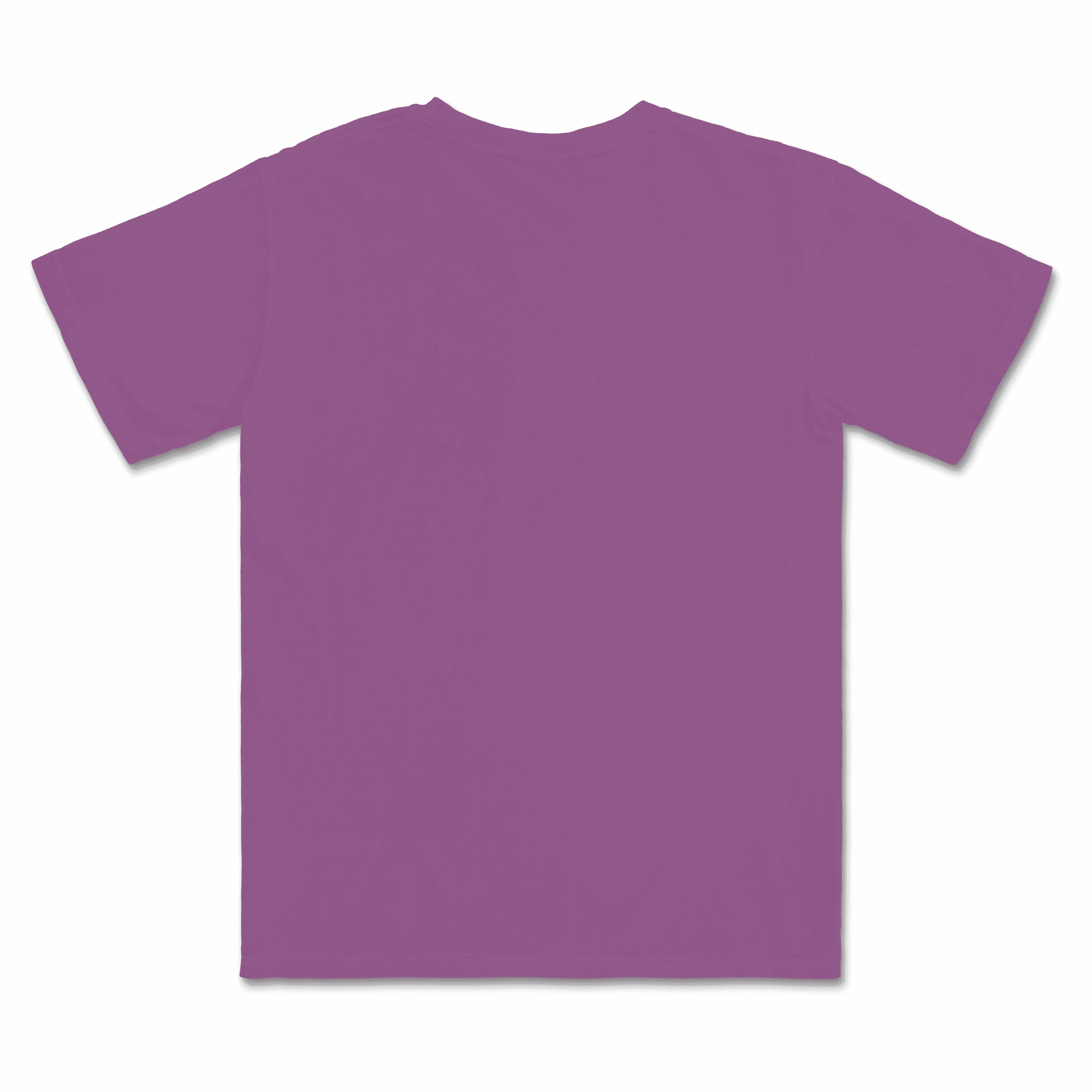 1717 Comfort Colors Adult Heavyweight T-Shirt