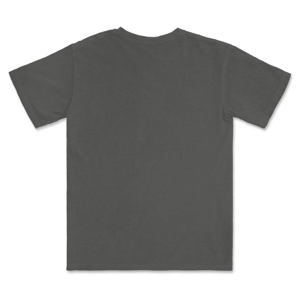 1717 Comfort Colors Adult Heavyweight T-Shirt