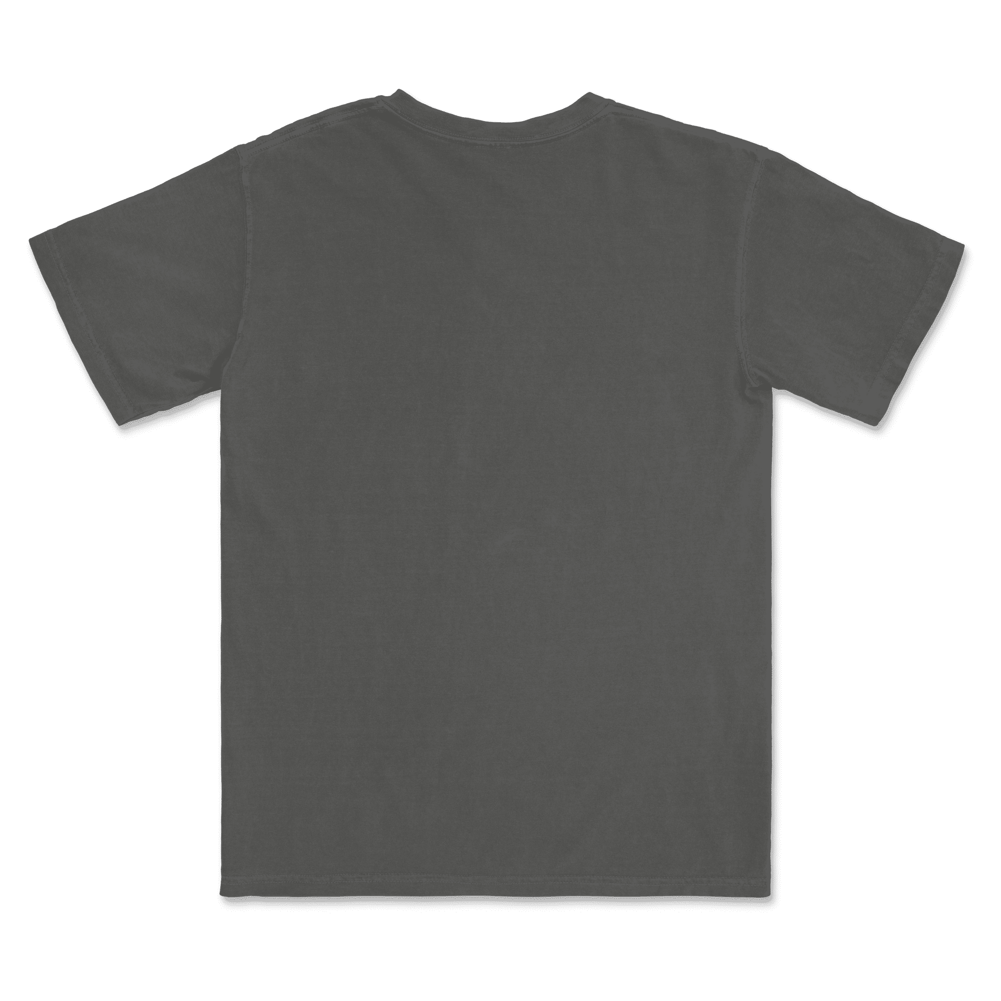 1717 Comfort Colors Adult Heavyweight T-Shirt