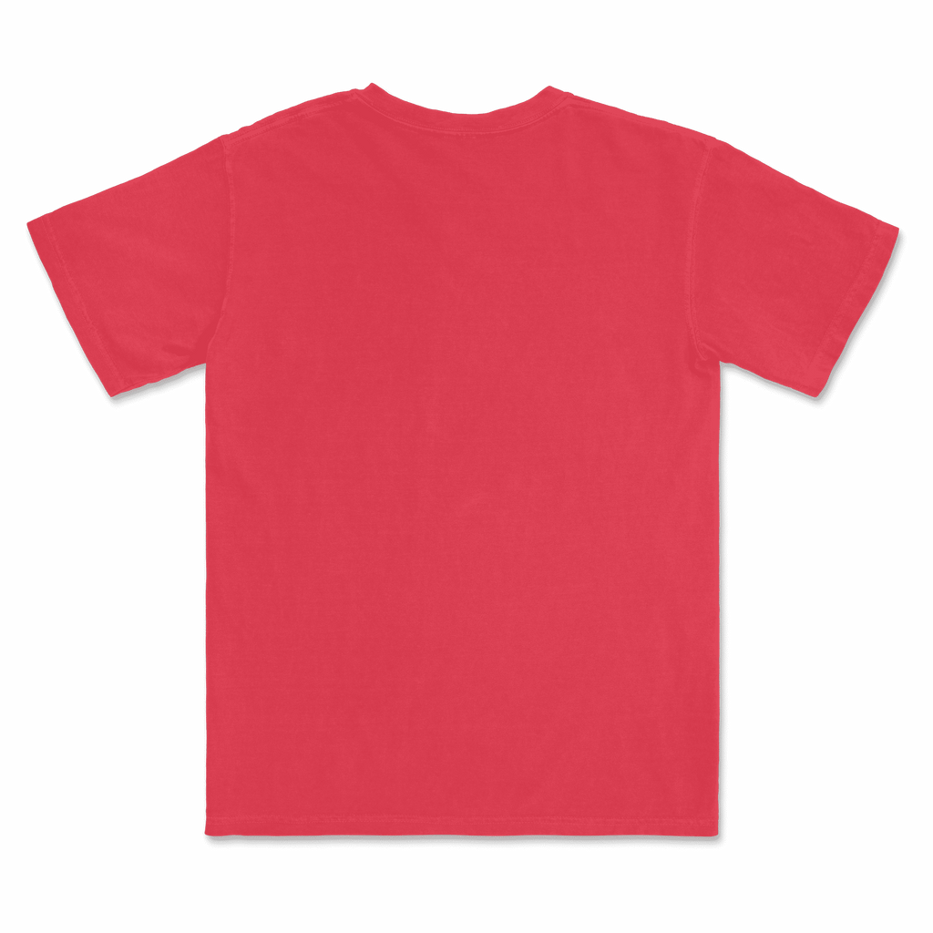 1717 Comfort Colors Adult Heavyweight T-Shirt