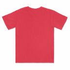 1717 Comfort Colors Adult Heavyweight T-Shirt