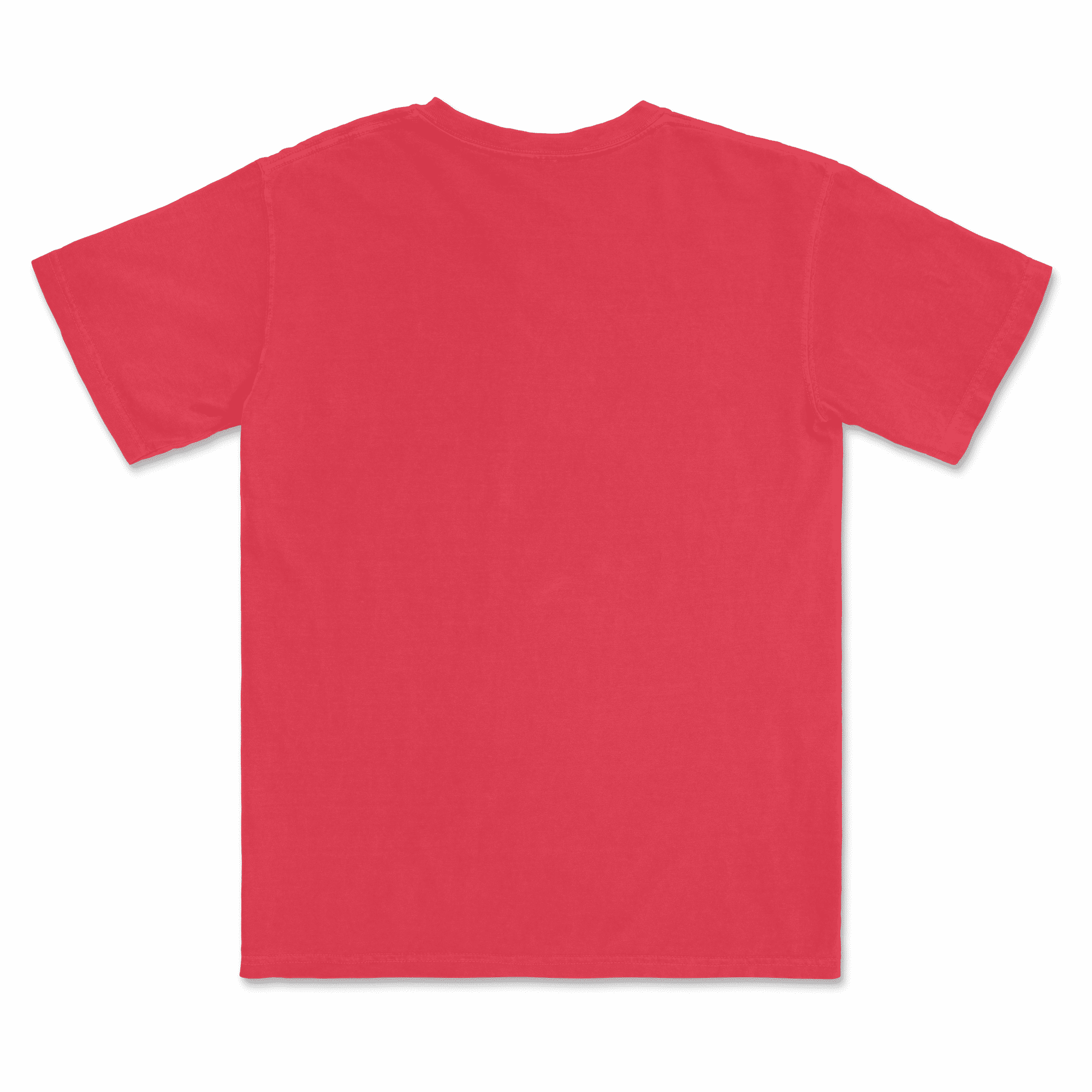 1717 Comfort Colors Adult Heavyweight T-Shirt