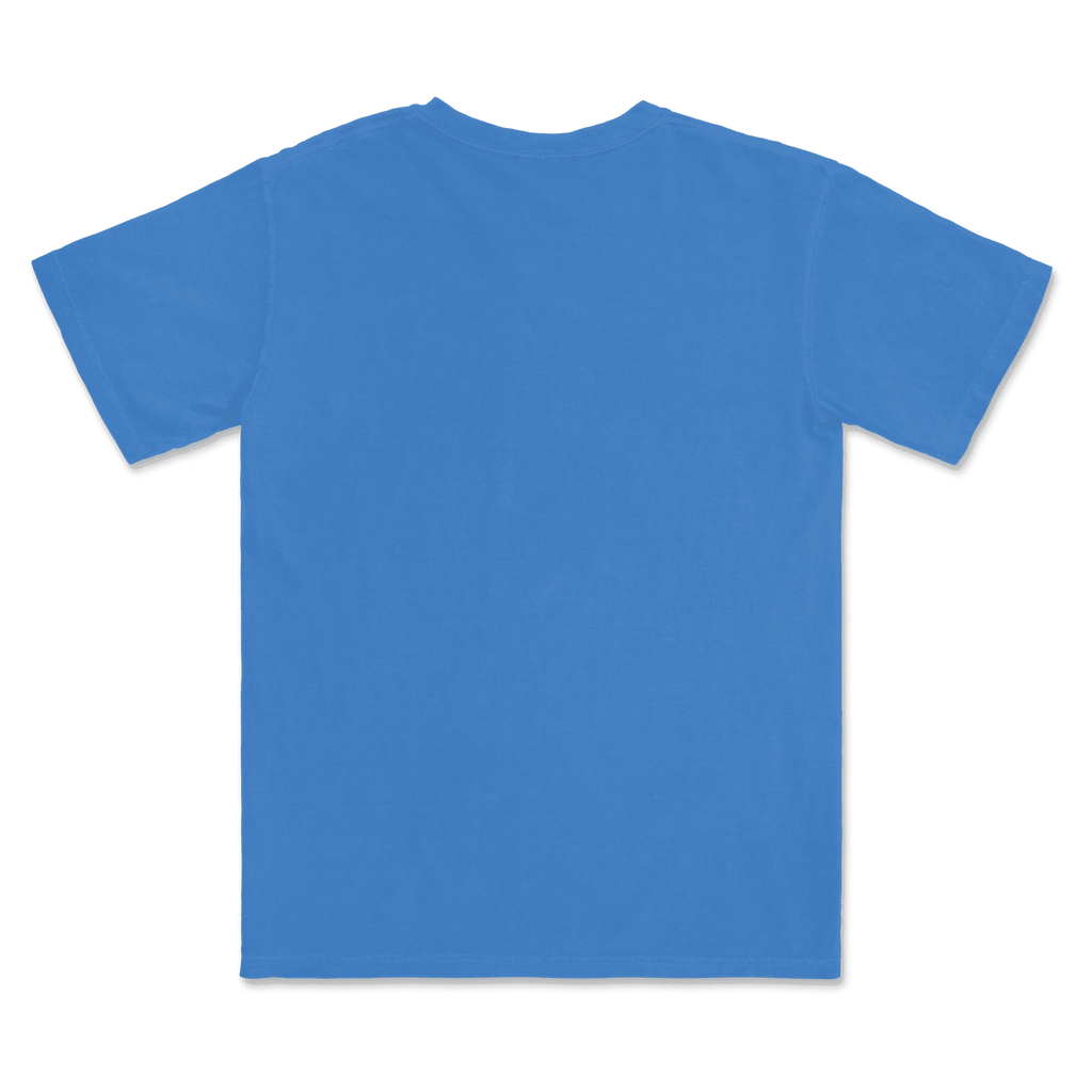 1717 Comfort Colors Adult Heavyweight T-Shirt