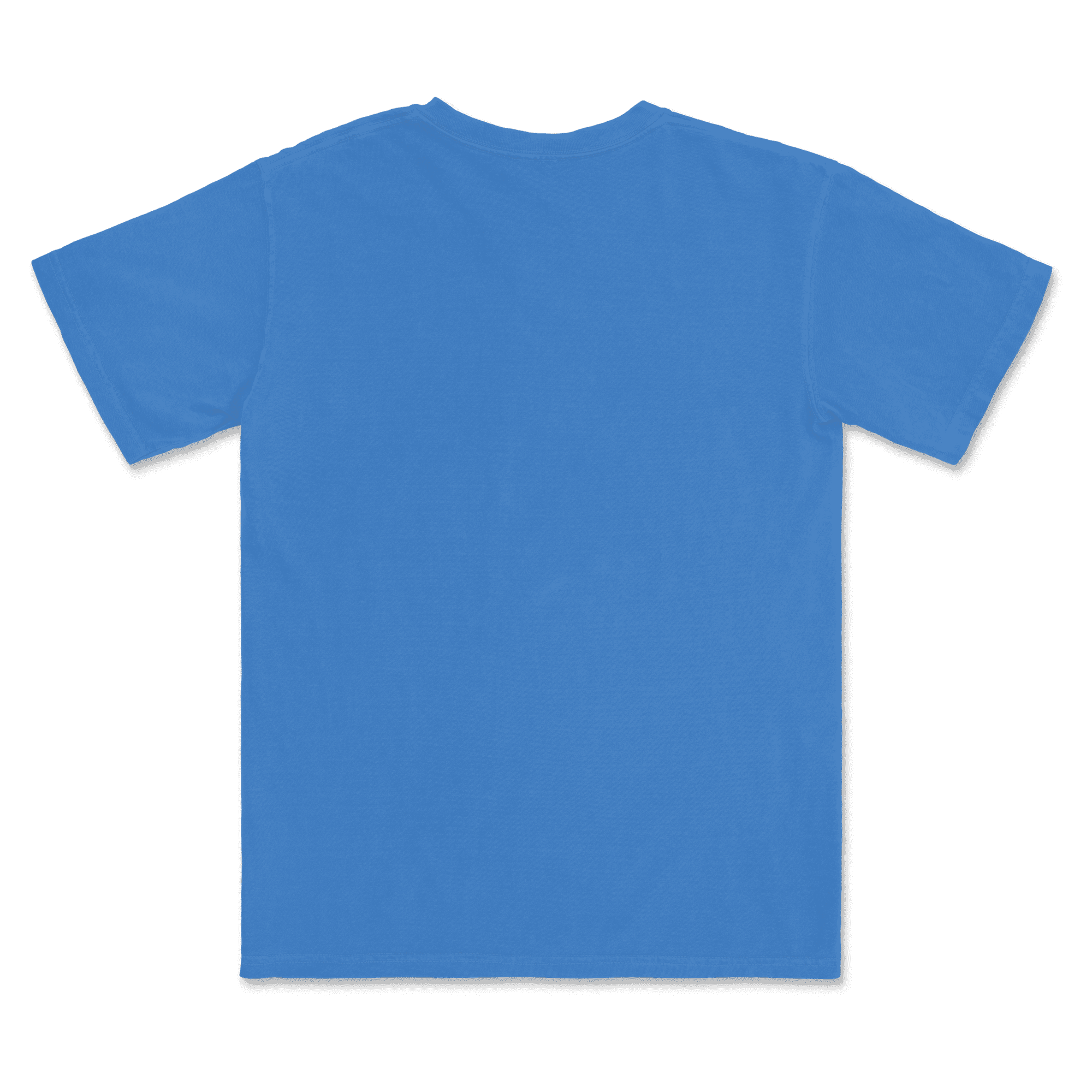 1717 Comfort Colors Adult Heavyweight T-Shirt