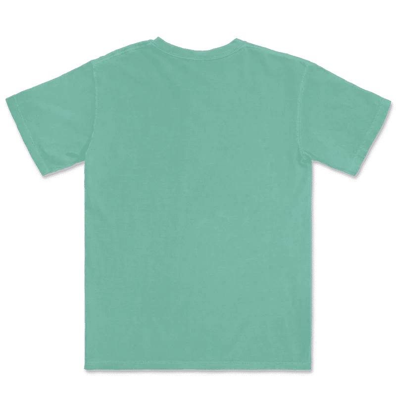 1717 Comfort Colors Adult Heavyweight T-Shirt