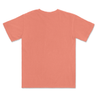 1717 Comfort Colors Adult Heavyweight T-Shirt
