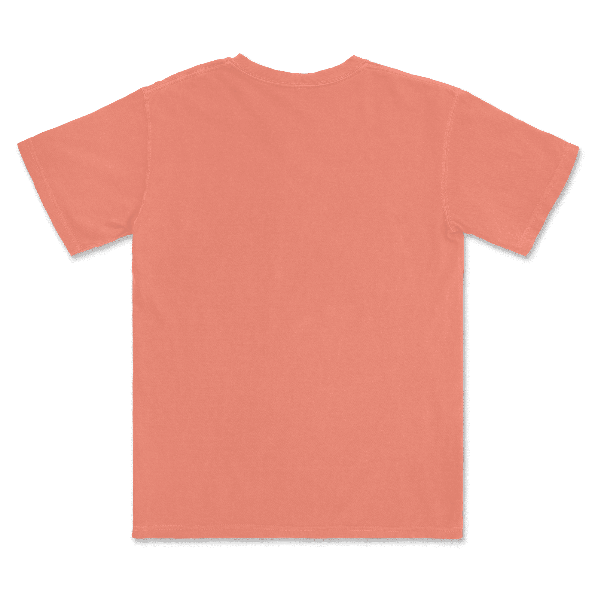 1717 Comfort Colors Adult Heavyweight T-Shirt