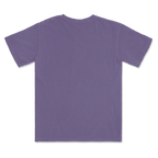 1717 Comfort Colors Adult Heavyweight T-Shirt
