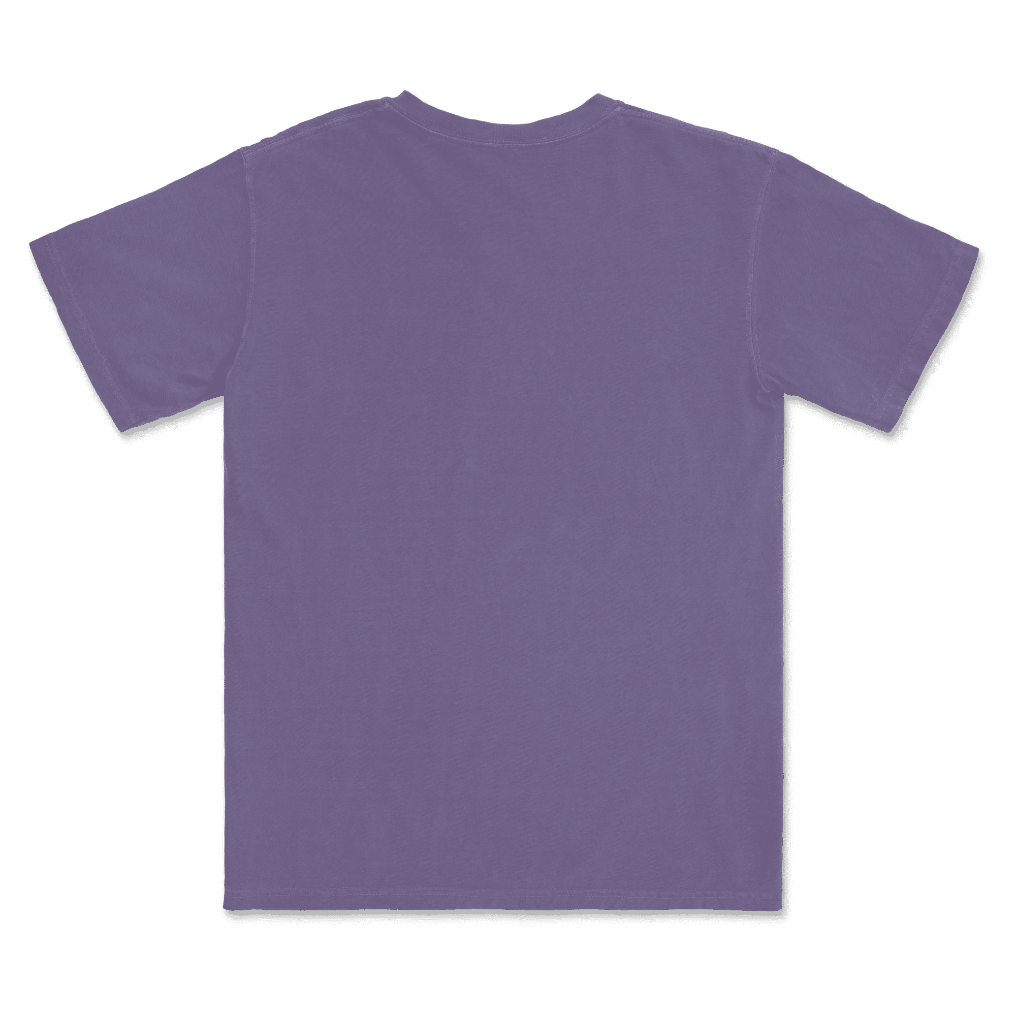 1717 Comfort Colors Adult Heavyweight T-Shirt