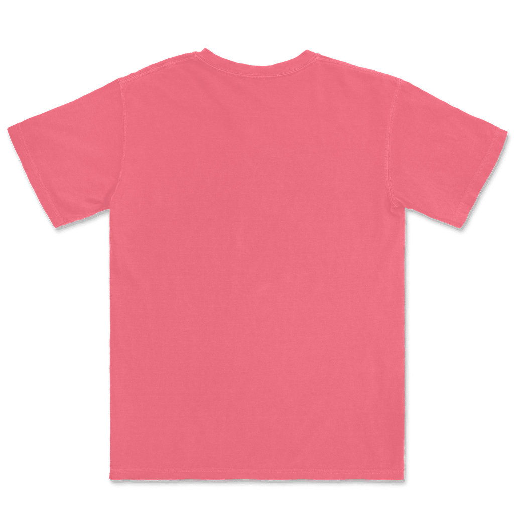1717 Comfort Colors Adult Heavyweight T-Shirt