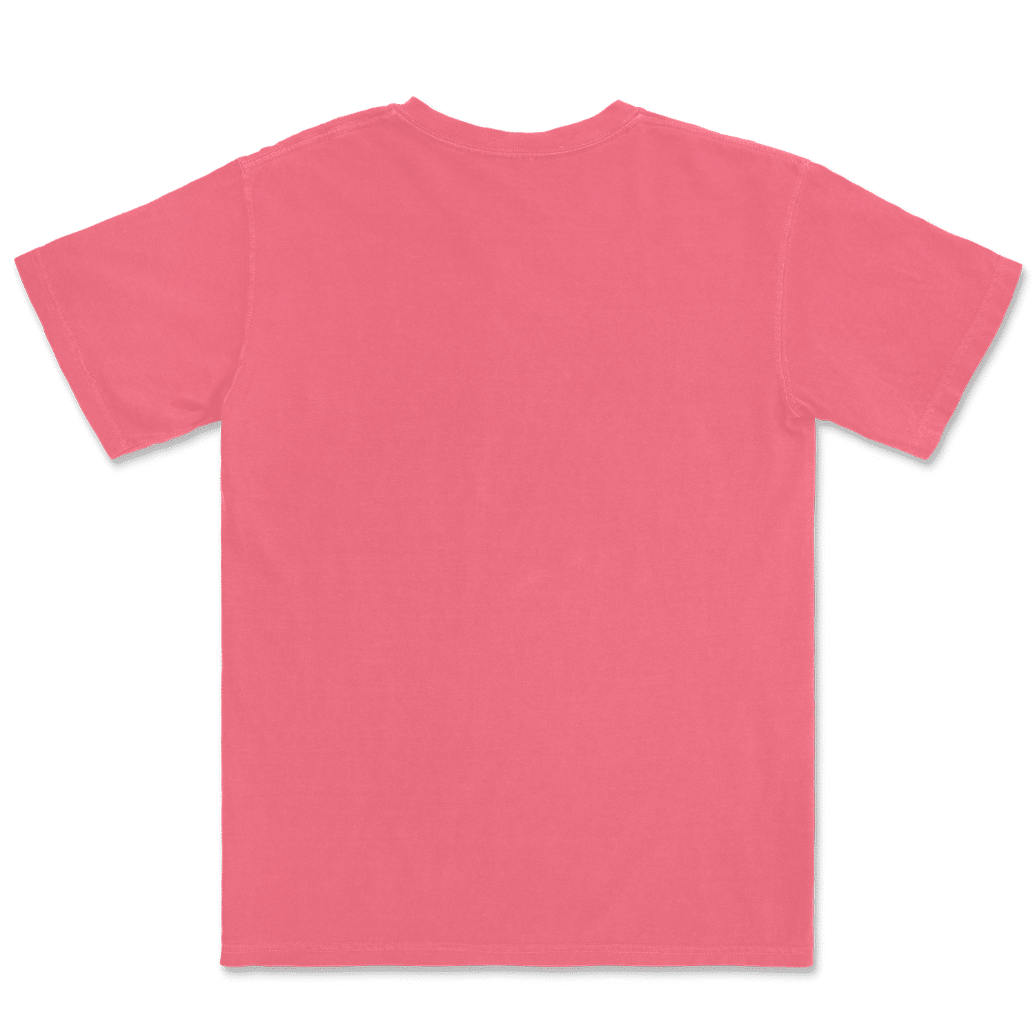 1717 Comfort Colors Adult Heavyweight T-Shirt