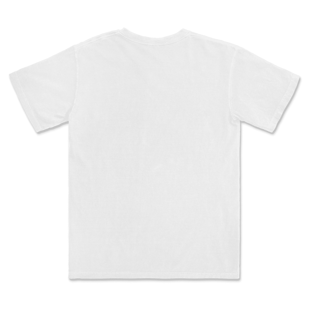 1717 Comfort Colors Adult Heavyweight T-Shirt