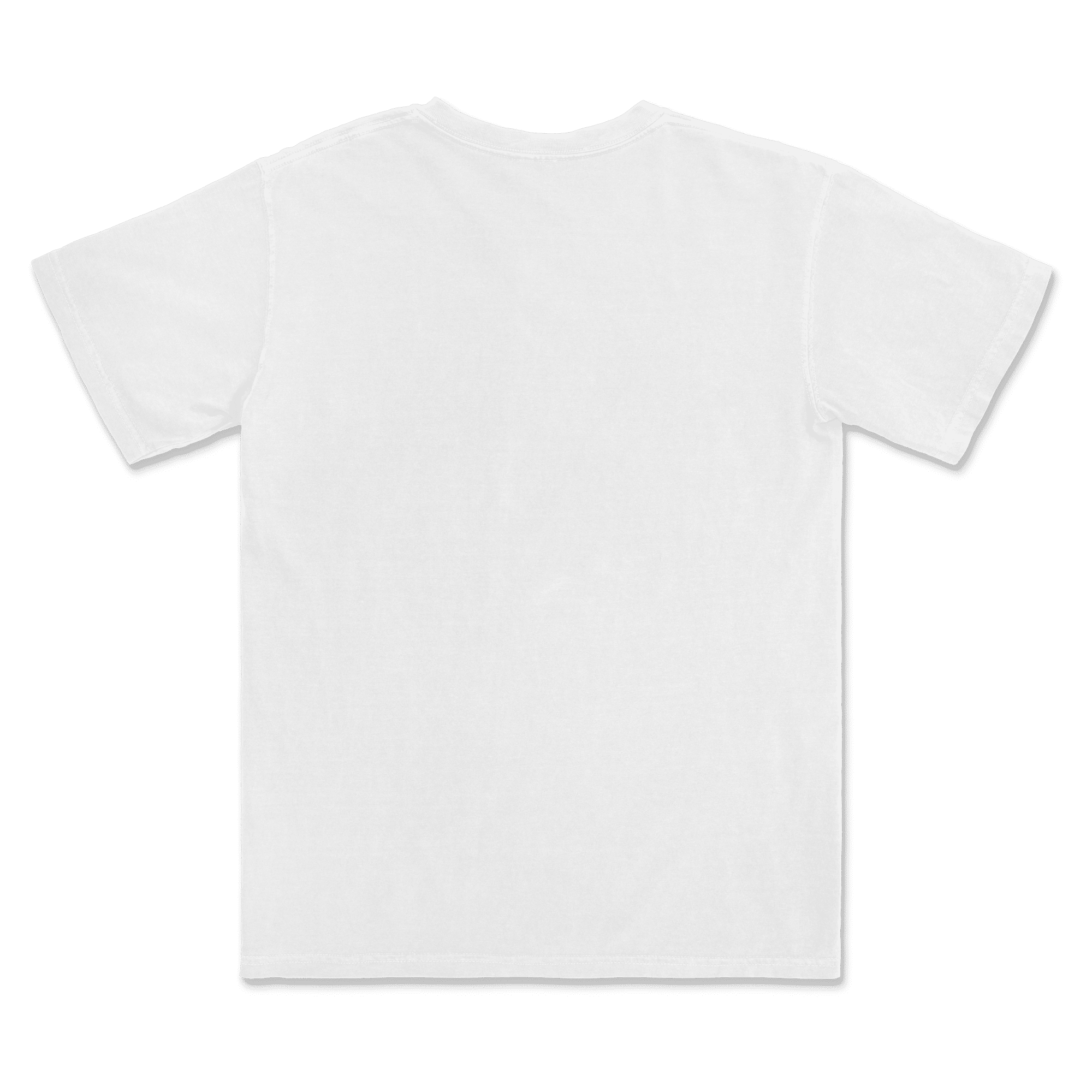 1717 Comfort Colors Adult Heavyweight T-Shirt