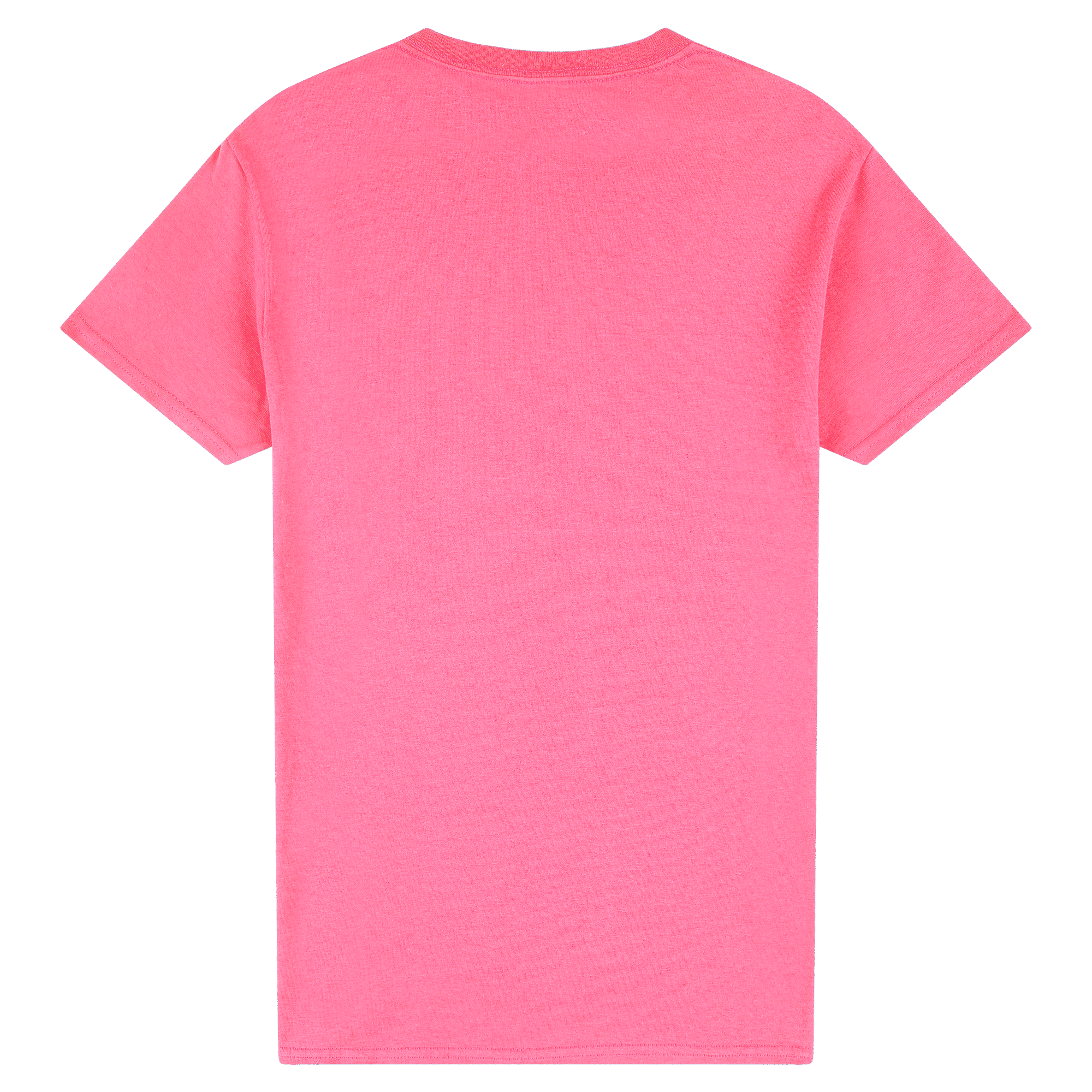 2000 Gildan Ultra Cotton Adult T-Shirt