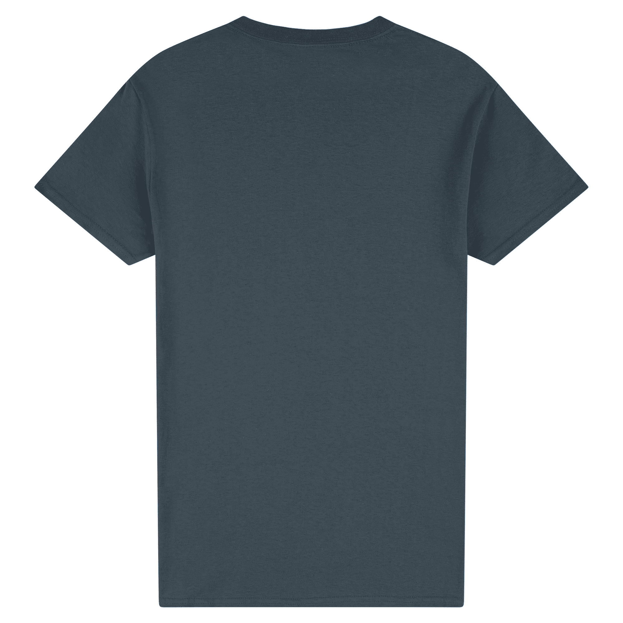 2000 Gildan Ultra Cotton Adult T-Shirt