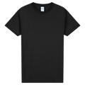 2000 Gildan Ultra Cotton Adult T-Shirt
