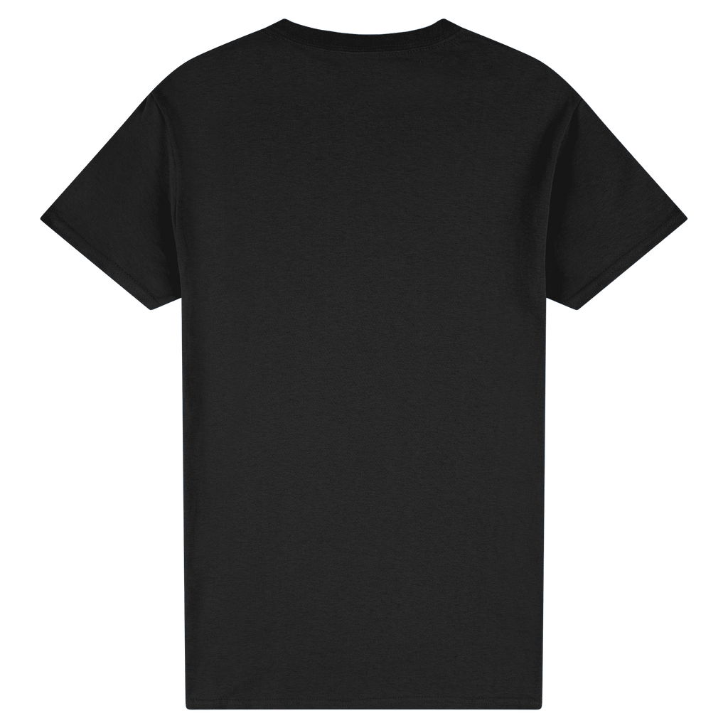 2000 Gildan Ultra Cotton Adult T-Shirt