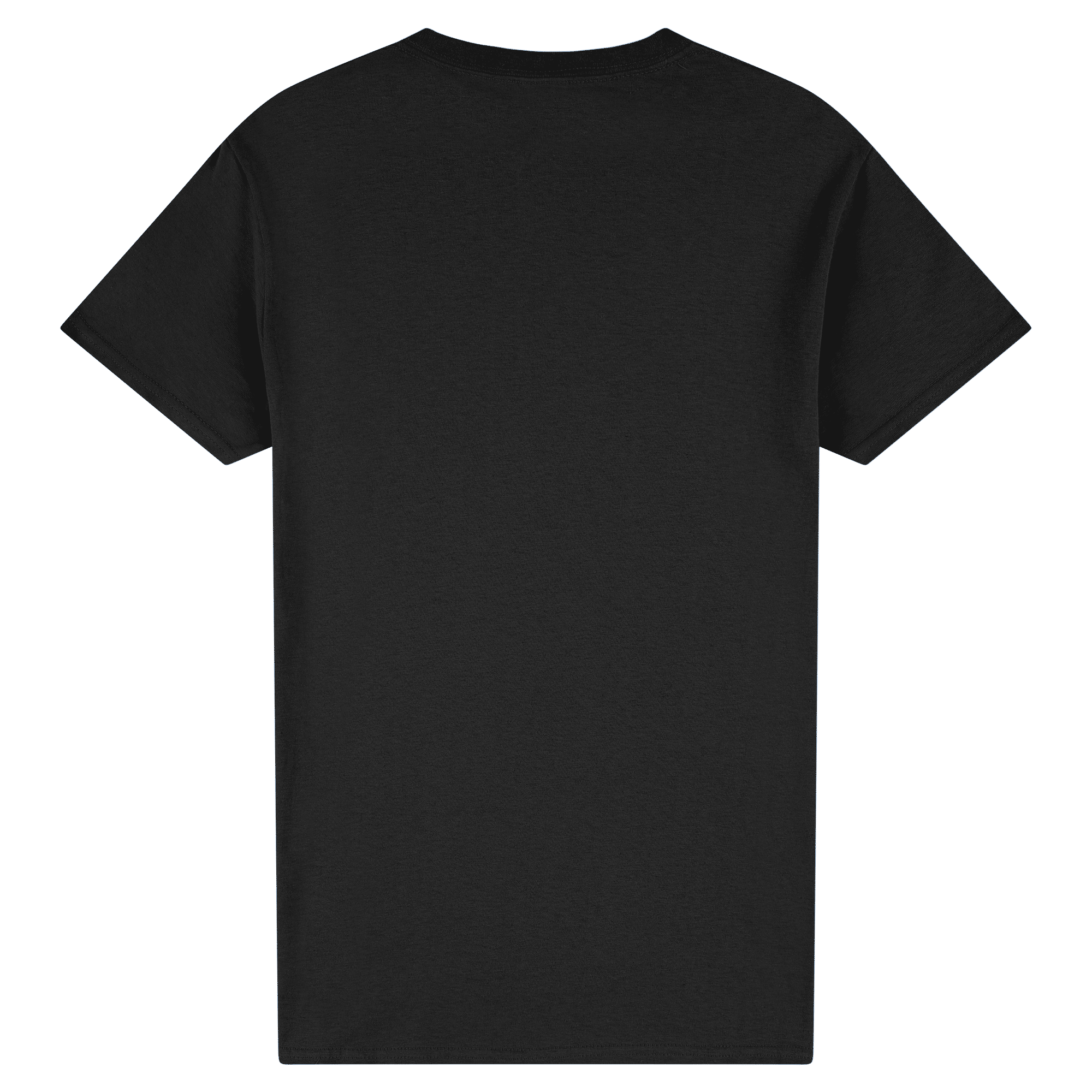 2000 Gildan Ultra Cotton Adult T-Shirt