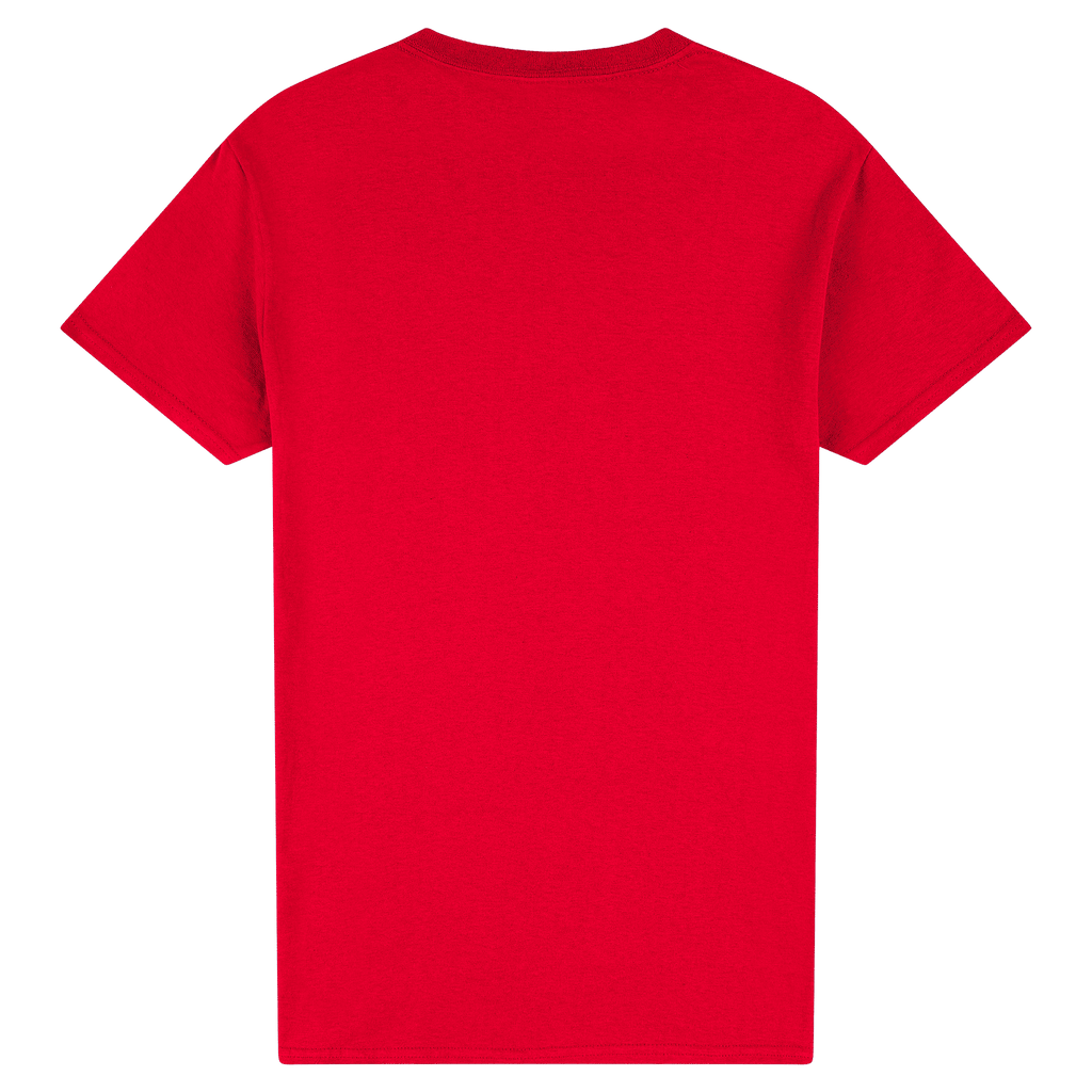 2000 Gildan Ultra Cotton Adult T-Shirt