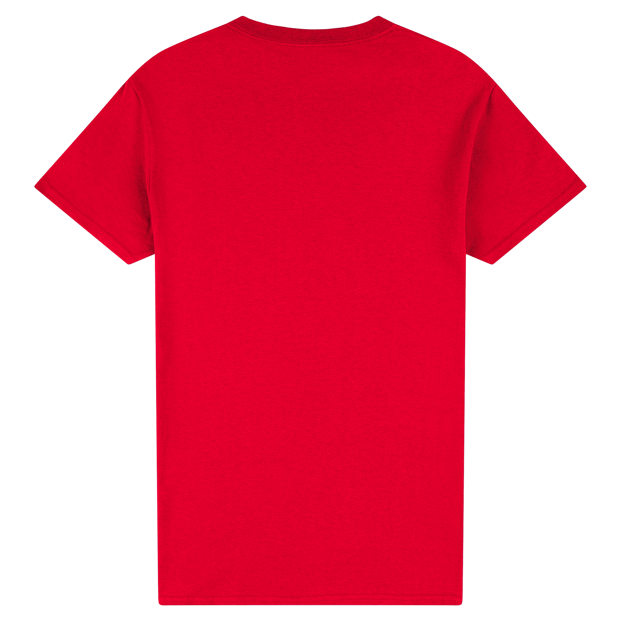 2000 Gildan Ultra Cotton Adult T-Shirt