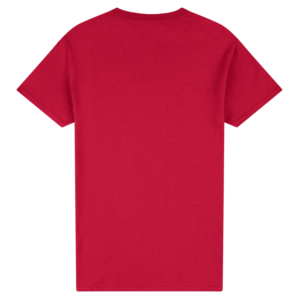 2000 Gildan Ultra Cotton Adult T-Shirt