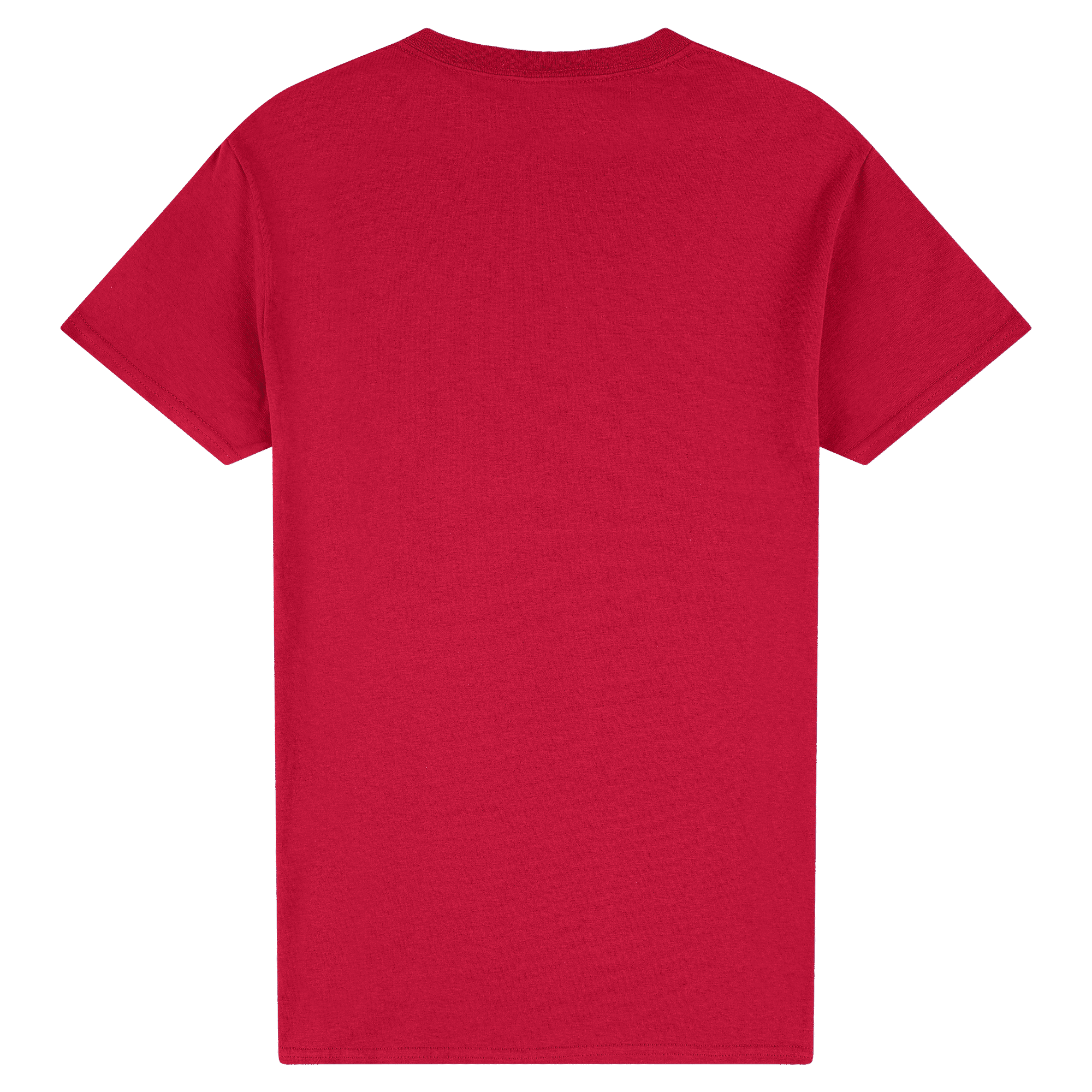 2000 Gildan Ultra Cotton Adult T-Shirt