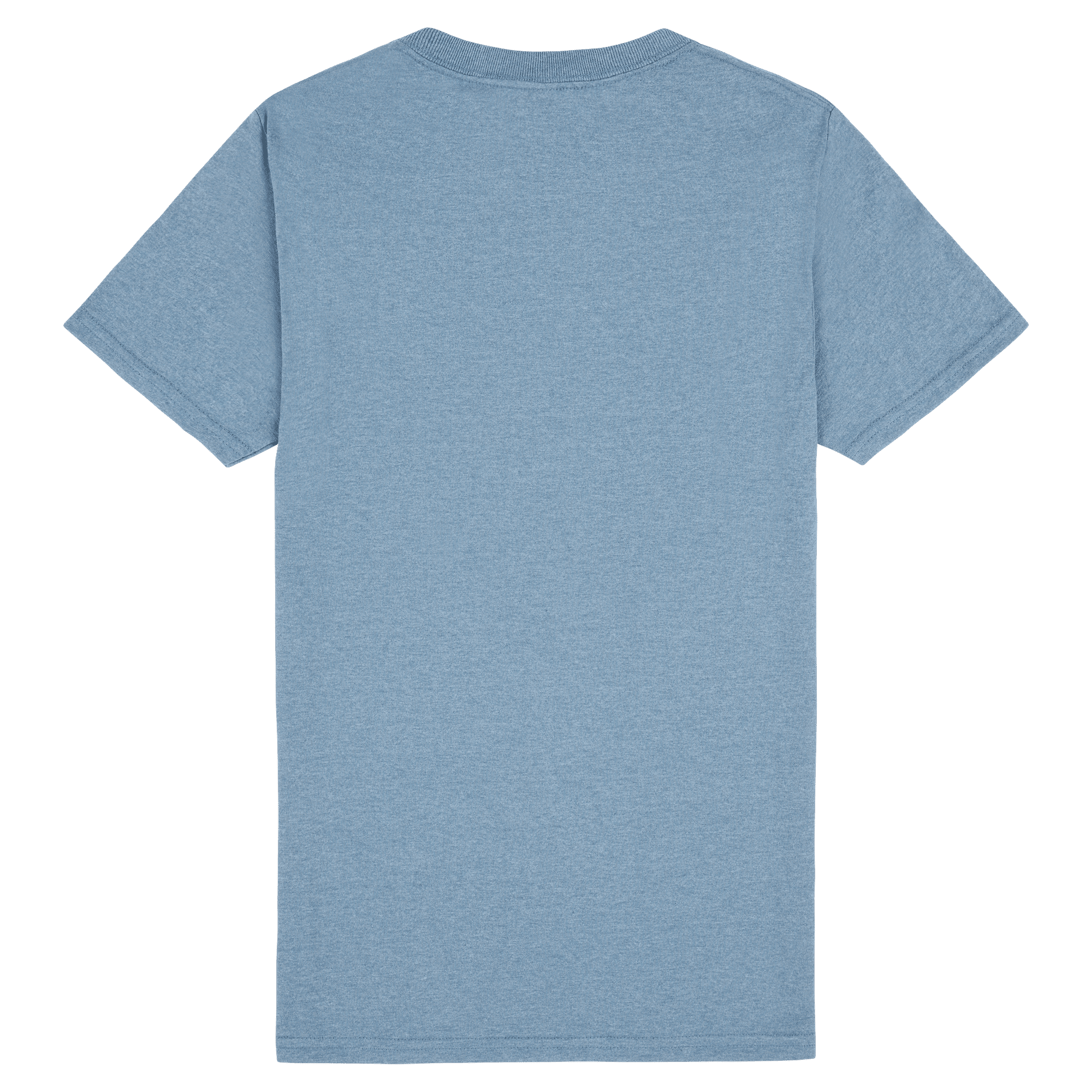 2000 Gildan Ultra Cotton Adult T-Shirt