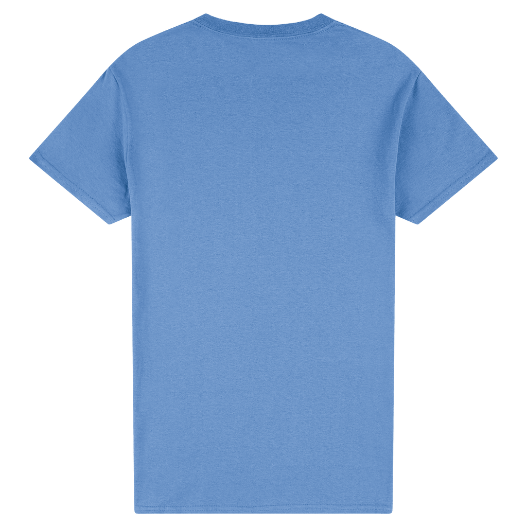 2000 Gildan Ultra Cotton Adult T-Shirt
