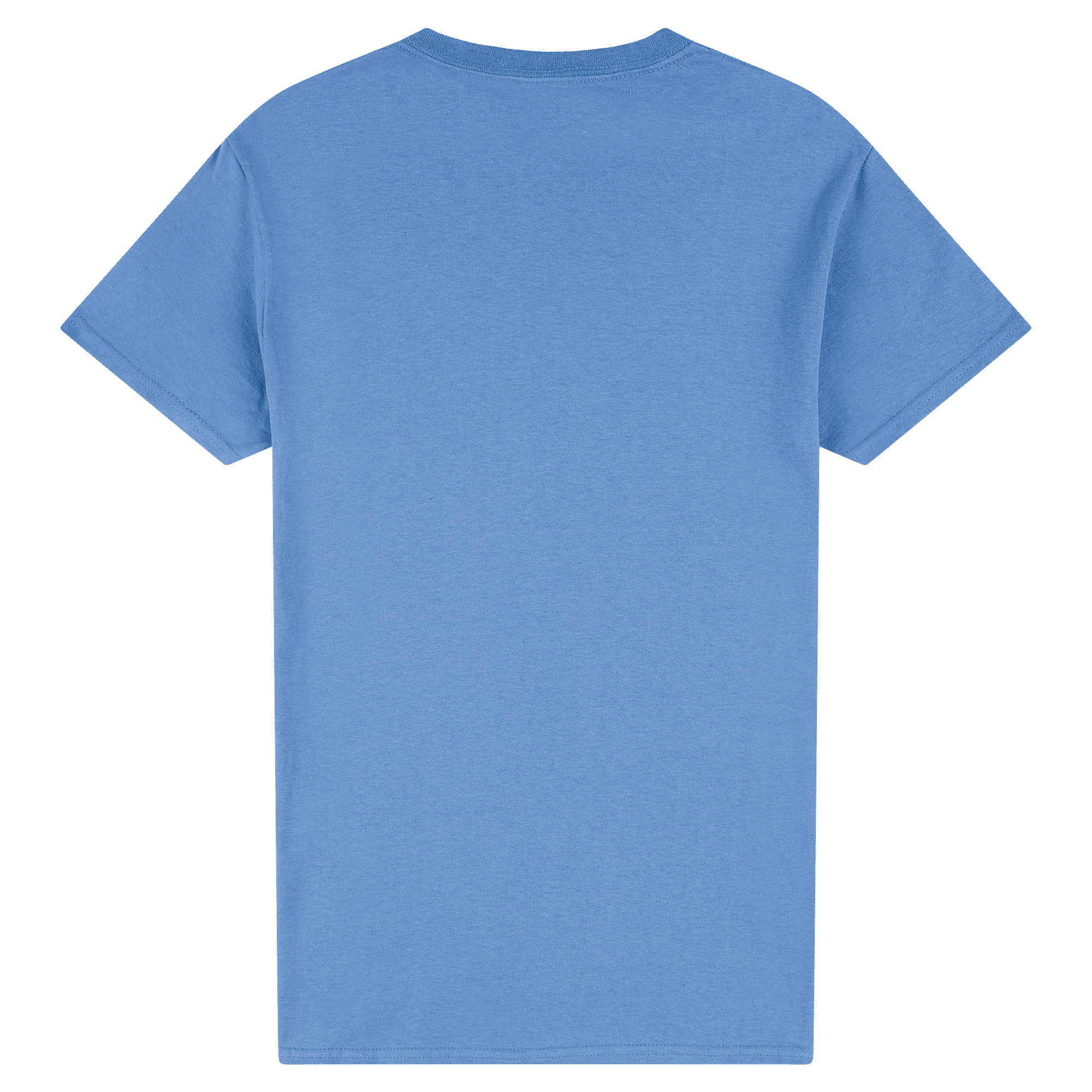 2000 Gildan Ultra Cotton Adult T-Shirt