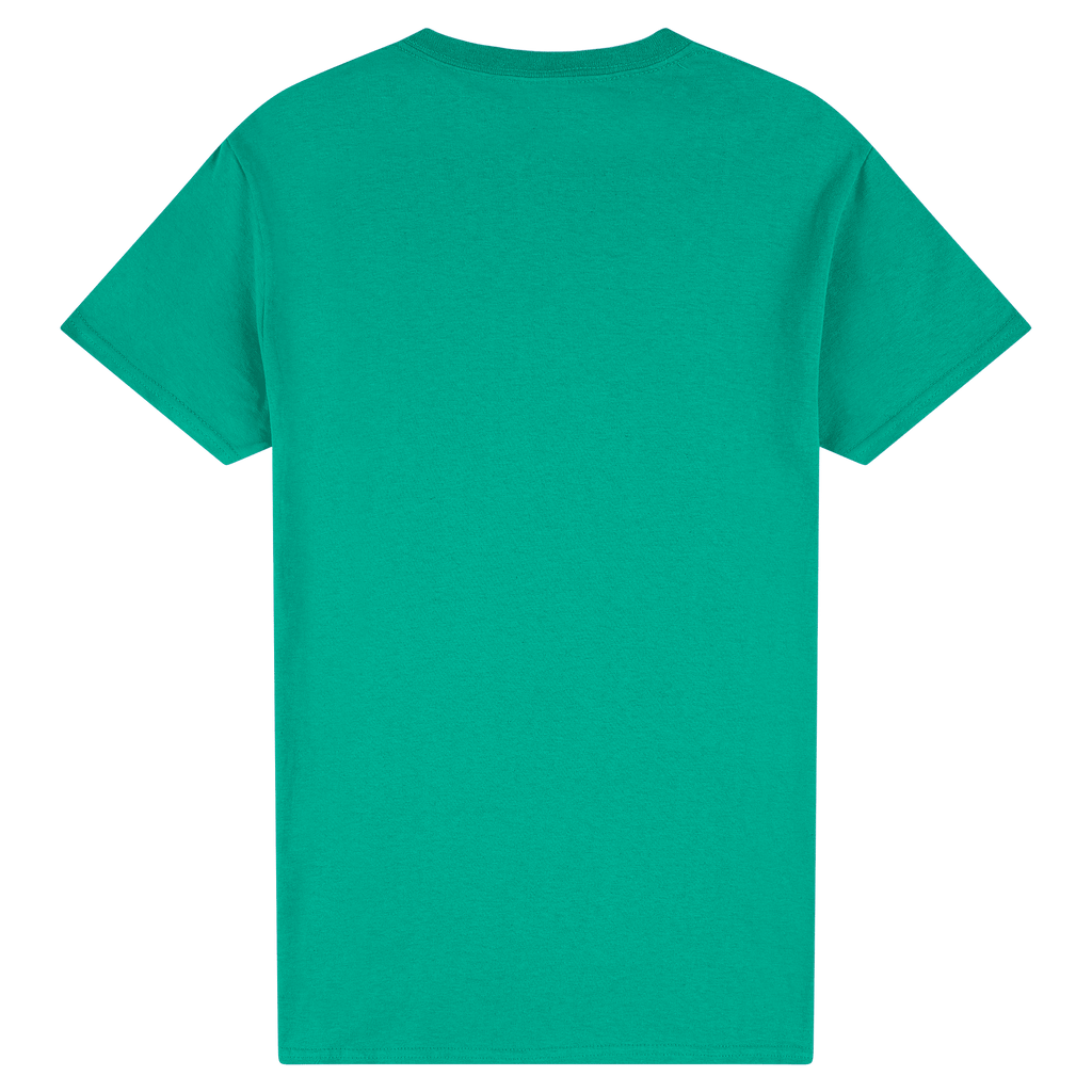 2000 Gildan Ultra Cotton Adult T-Shirt