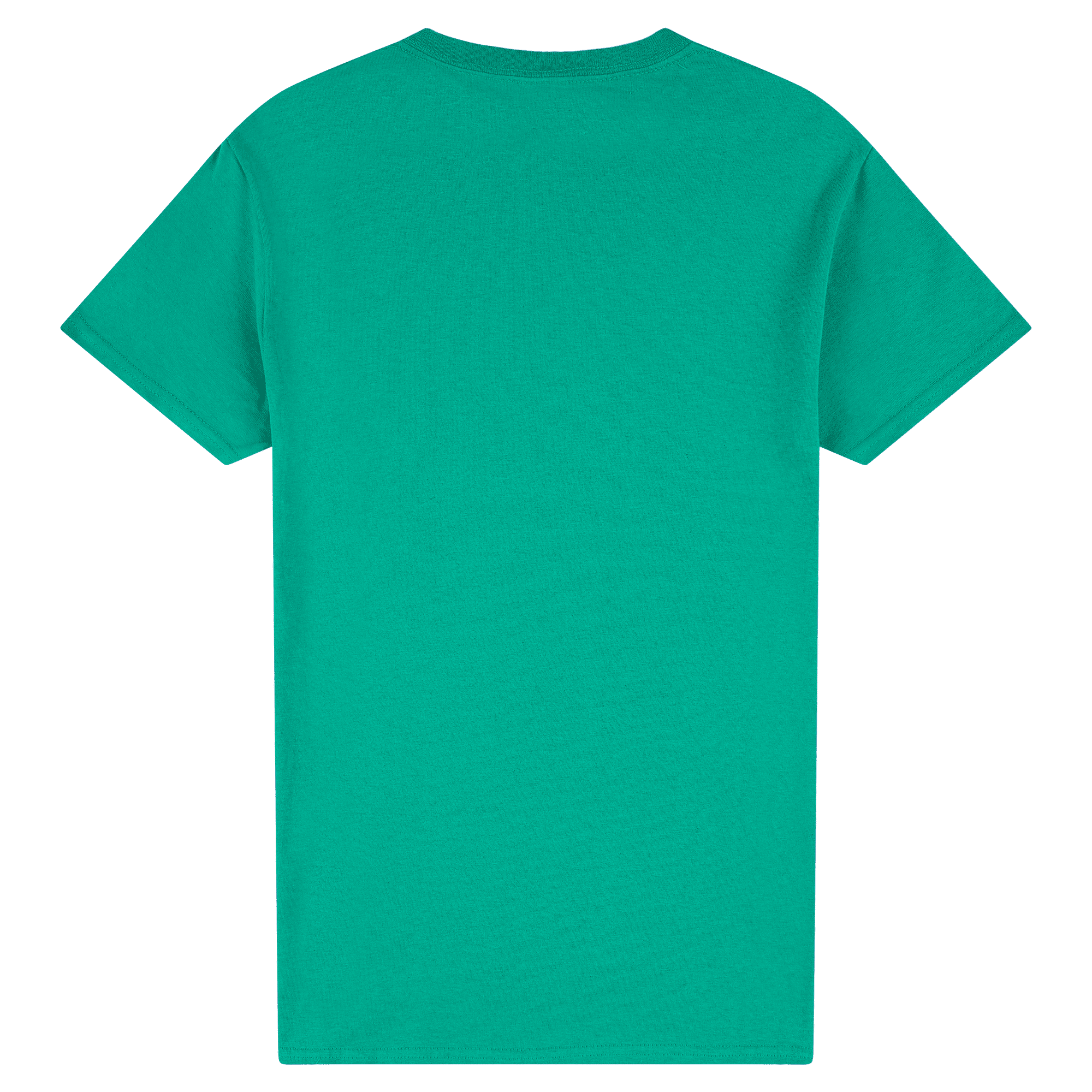 2000 Gildan Ultra Cotton Adult T-Shirt