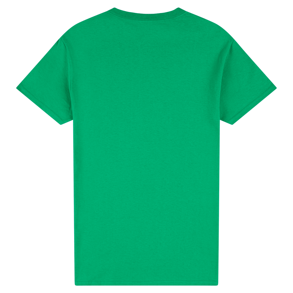 2000 Gildan Ultra Cotton Adult T-Shirt
