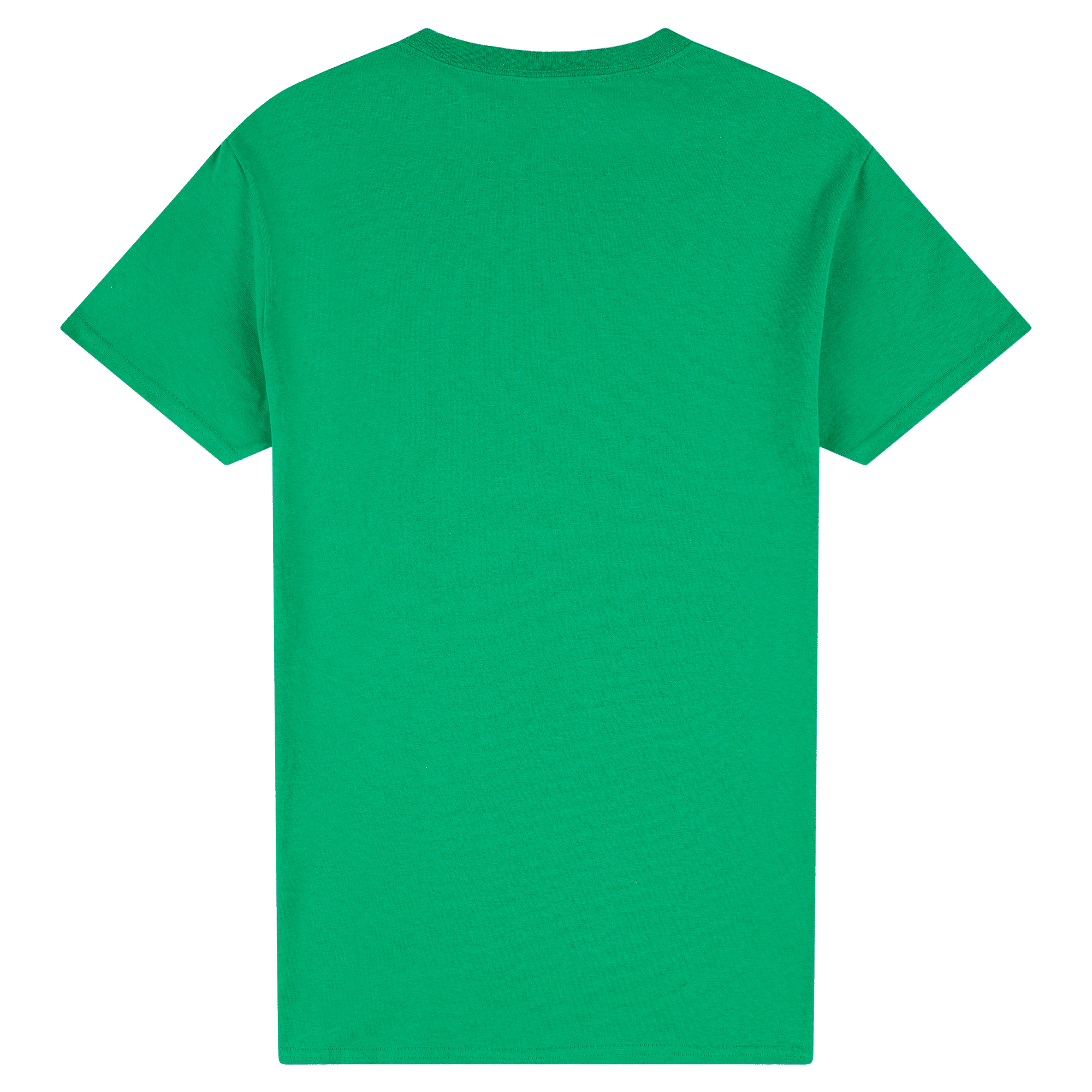 2000 Gildan Ultra Cotton Adult T-Shirt
