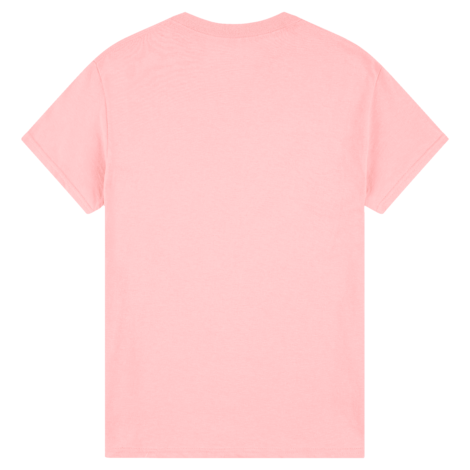 2000 Gildan Ultra Cotton Adult T-Shirt