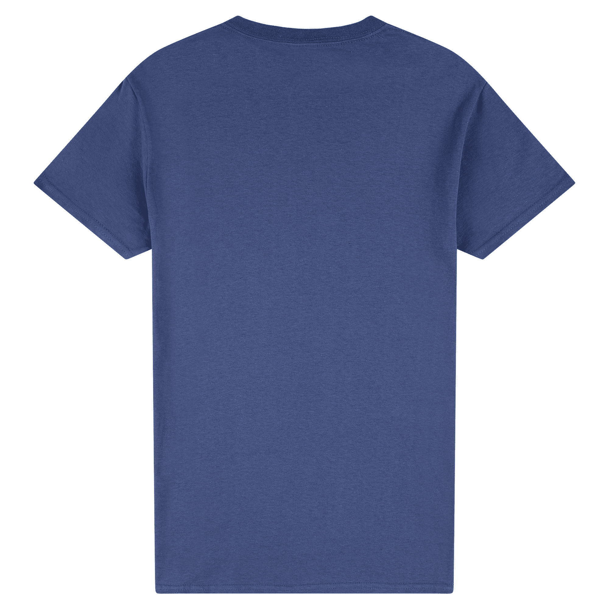 2000 Gildan Ultra Cotton Adult T-Shirt