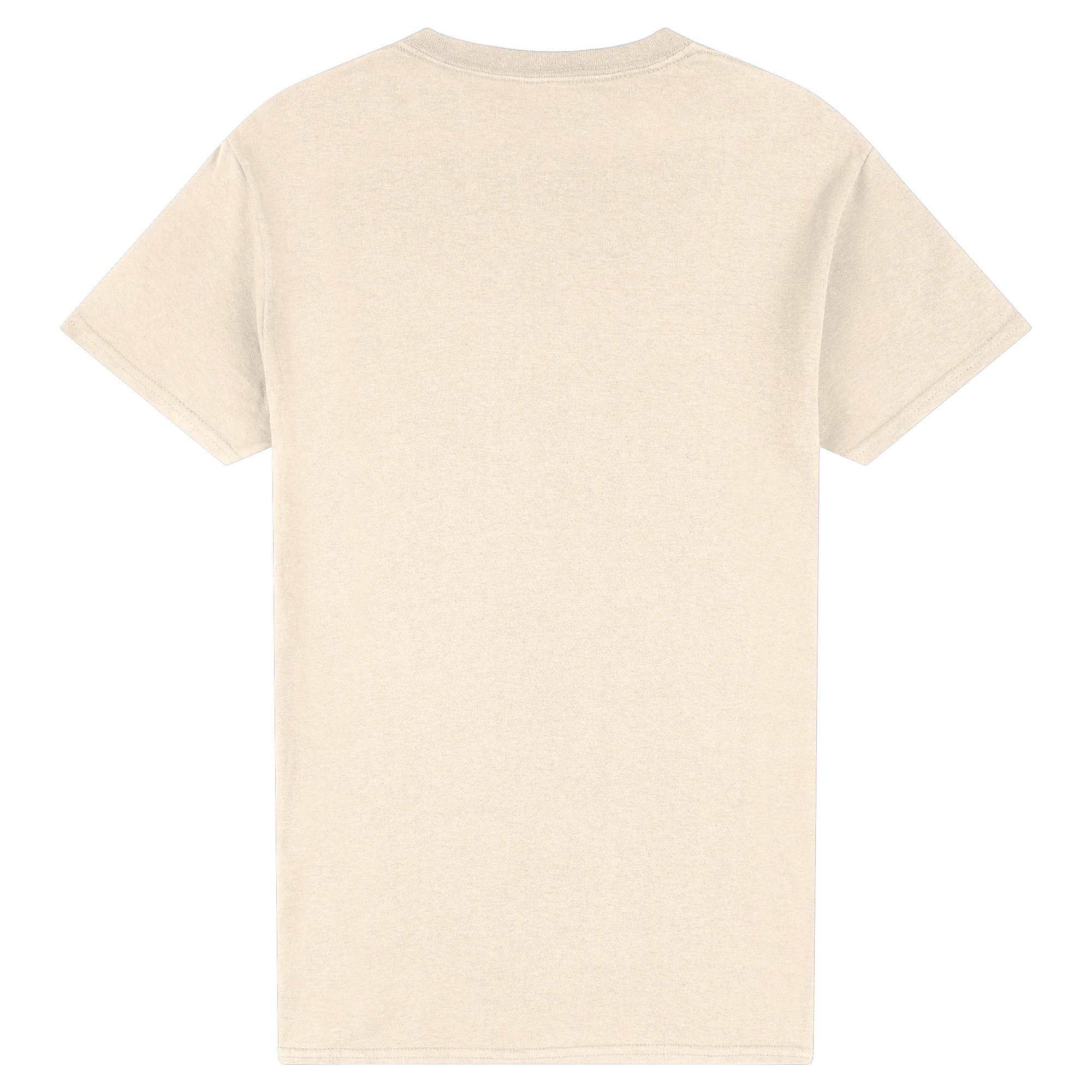 2000 Gildan Ultra Cotton Adult T-Shirt