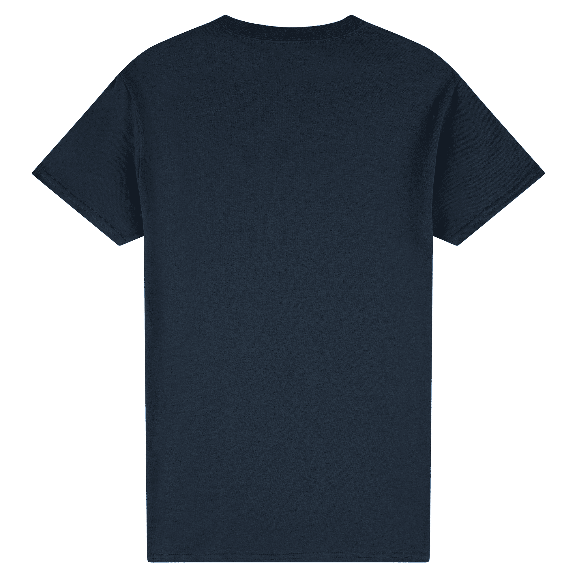 2000 Gildan Ultra Cotton Adult T-Shirt