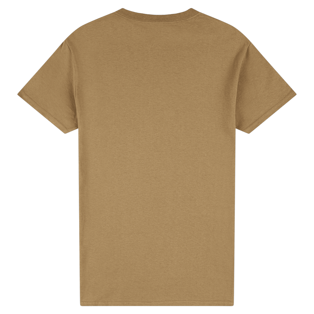 2000 Gildan Ultra Cotton Adult T-Shirt