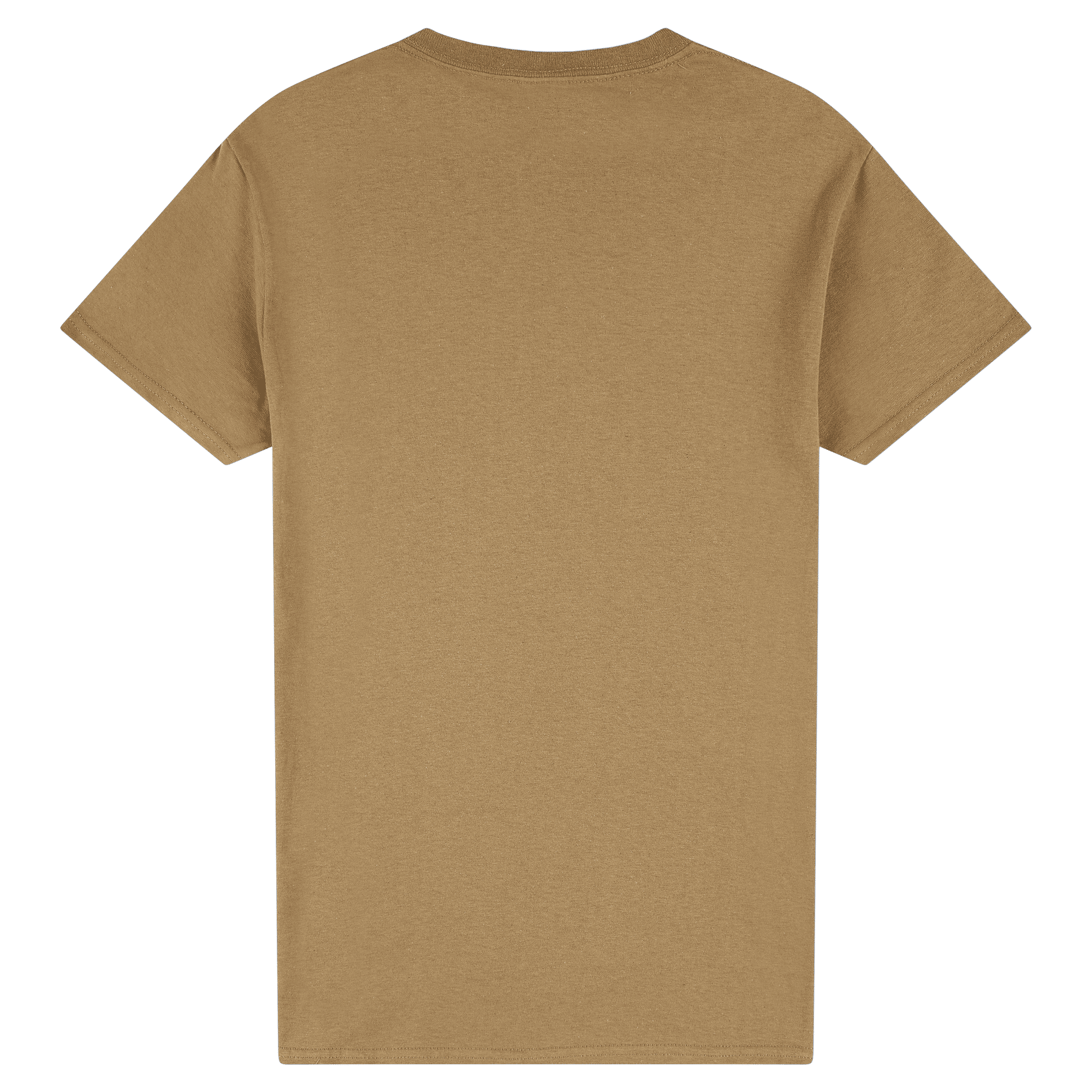2000 Gildan Ultra Cotton Adult T-Shirt