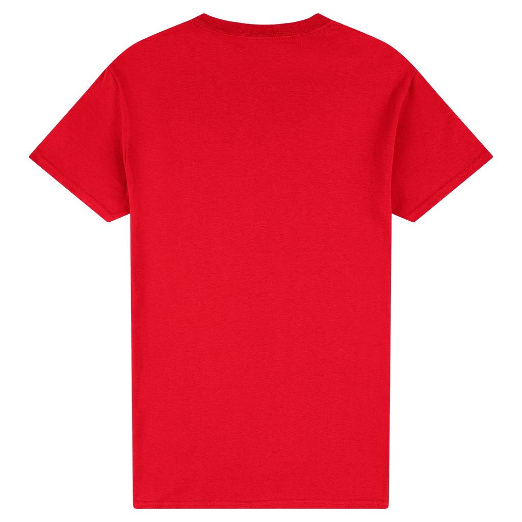 2000 Gildan Ultra Cotton Adult T-Shirt