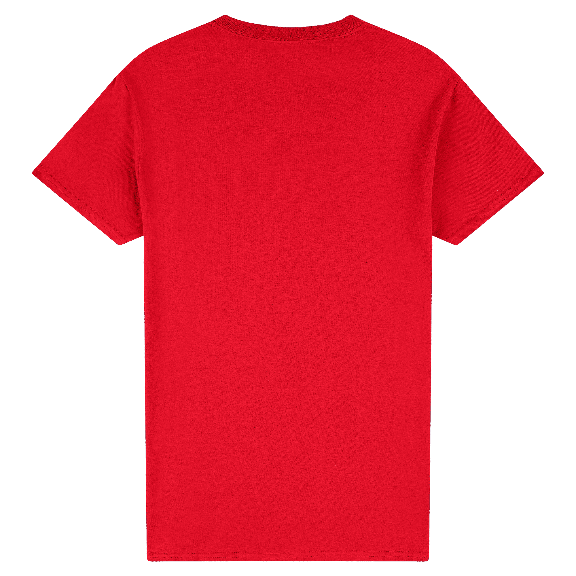 2000 Gildan Ultra Cotton Adult T-Shirt