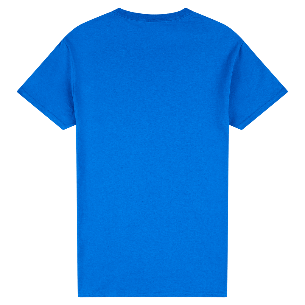 2000 Gildan Ultra Cotton Adult T-Shirt